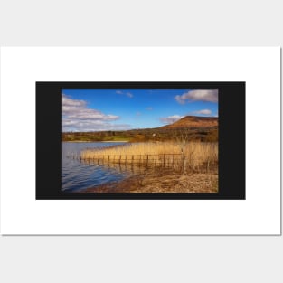 Llangorse Lake and Mynydd Troed, Brecon Beacons National Park, Wales Posters and Art